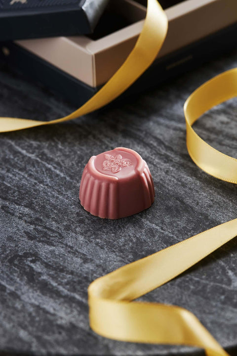 Wonderfool Chocolate EdWonder X Désirée [Pink+Navy Set]